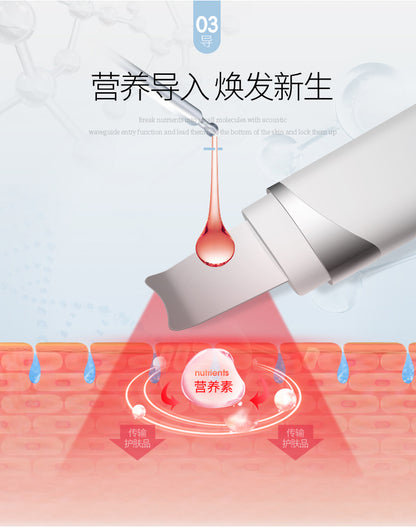 Raspador de limpieza de poros faciales